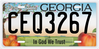 GA license plate CEQ3267