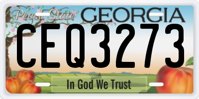 GA license plate CEQ3273