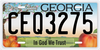 GA license plate CEQ3275