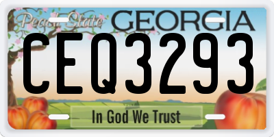 GA license plate CEQ3293