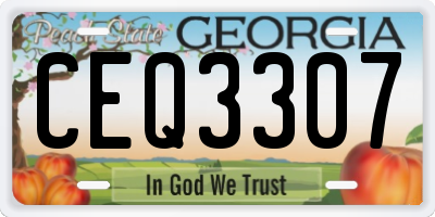 GA license plate CEQ3307