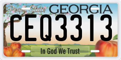 GA license plate CEQ3313