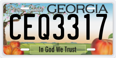 GA license plate CEQ3317