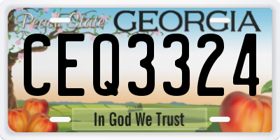 GA license plate CEQ3324