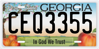 GA license plate CEQ3355