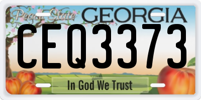 GA license plate CEQ3373
