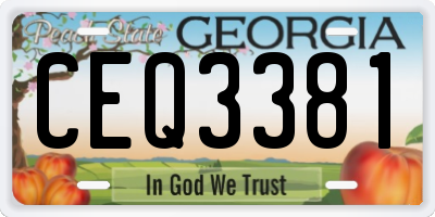 GA license plate CEQ3381