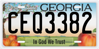 GA license plate CEQ3382