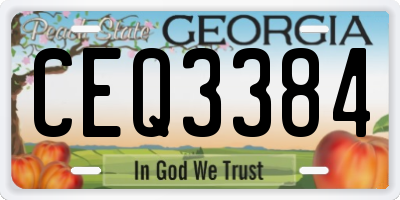 GA license plate CEQ3384