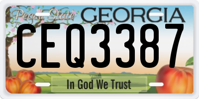 GA license plate CEQ3387