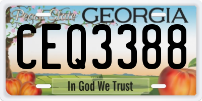 GA license plate CEQ3388