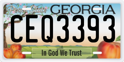GA license plate CEQ3393