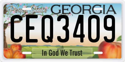 GA license plate CEQ3409