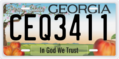 GA license plate CEQ3411