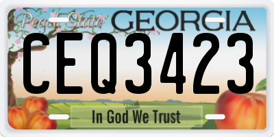 GA license plate CEQ3423