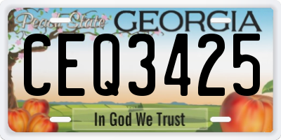 GA license plate CEQ3425