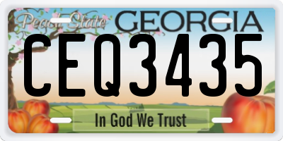 GA license plate CEQ3435