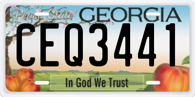 GA license plate CEQ3441