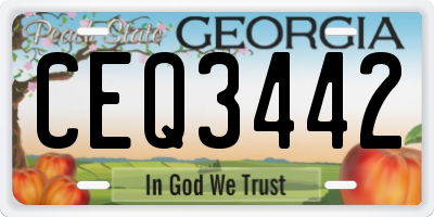 GA license plate CEQ3442