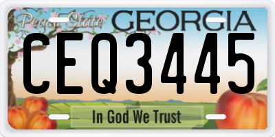GA license plate CEQ3445