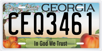 GA license plate CEQ3461