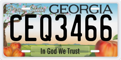 GA license plate CEQ3466