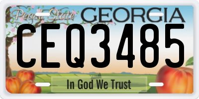 GA license plate CEQ3485