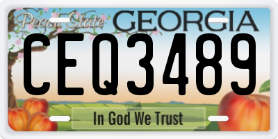 GA license plate CEQ3489