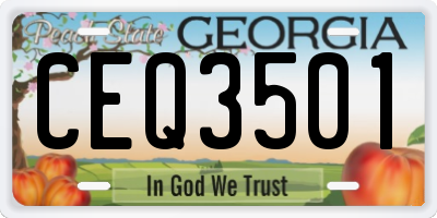 GA license plate CEQ3501