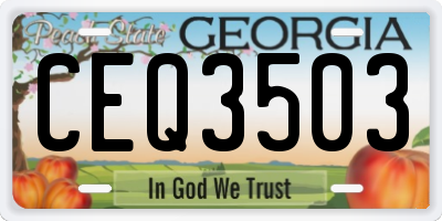 GA license plate CEQ3503