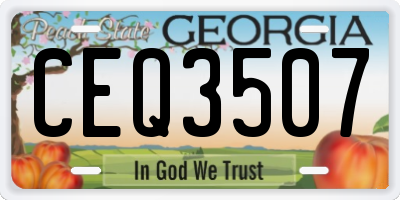 GA license plate CEQ3507
