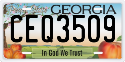 GA license plate CEQ3509