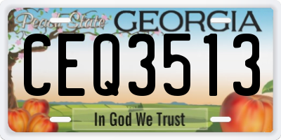 GA license plate CEQ3513