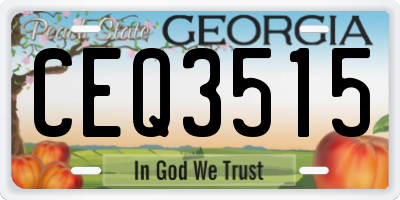 GA license plate CEQ3515