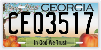 GA license plate CEQ3517