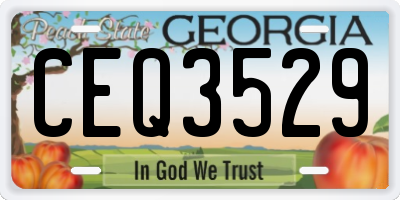 GA license plate CEQ3529