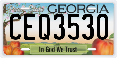 GA license plate CEQ3530