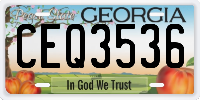 GA license plate CEQ3536