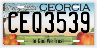 GA license plate CEQ3539