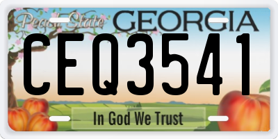 GA license plate CEQ3541