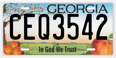 GA license plate CEQ3542