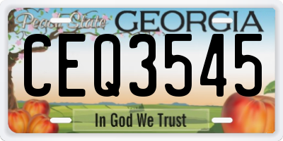 GA license plate CEQ3545