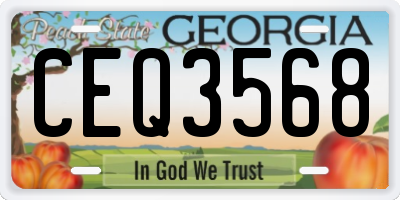GA license plate CEQ3568