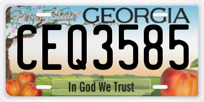 GA license plate CEQ3585