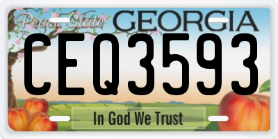 GA license plate CEQ3593