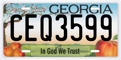 GA license plate CEQ3599