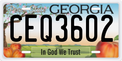 GA license plate CEQ3602