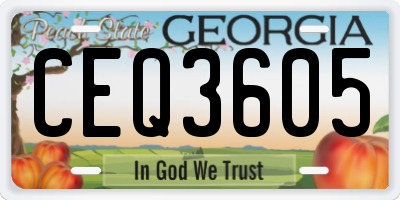 GA license plate CEQ3605