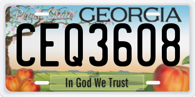 GA license plate CEQ3608
