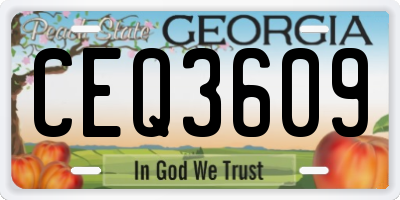 GA license plate CEQ3609